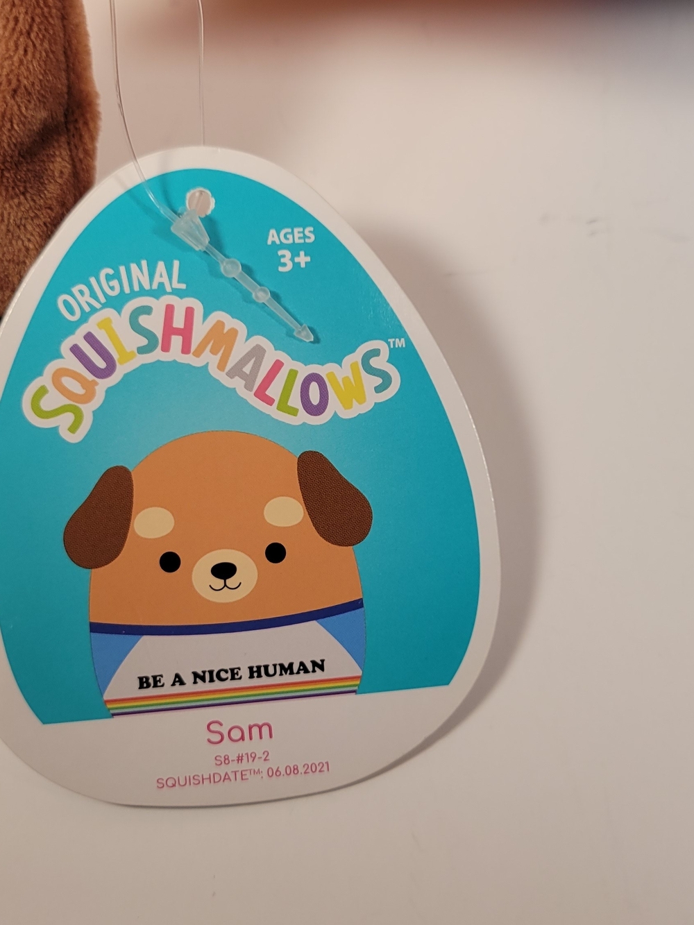 Squishmallows Sam The Dog 8" Plush, Brown Dog In T-Shirt - Picture 10 of 13